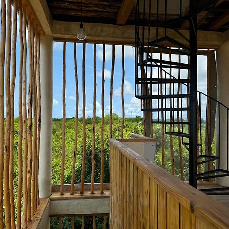Garden Eden Lodge Jambiani  Ngoại thất bức ảnh